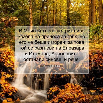 Picture 07 - Левит 10:16 BULG - И Моисей търсеше грижливо - Bible Verse Picture