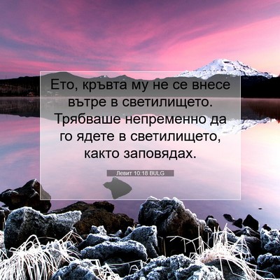 Picture 07 - Левит 10:18 BULG - Ето, кръвта му не се внесе - Bible Verse Picture