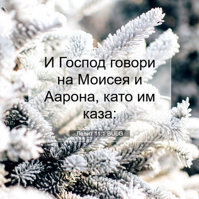 Picture 07 - Левит 11:1 BULG - И Господ говори на Моисея и - Bible Verse Picture