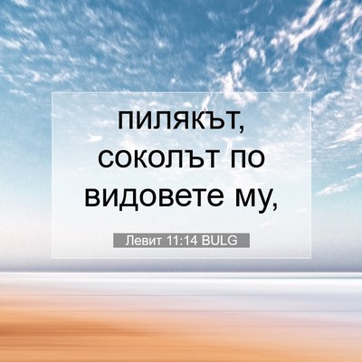 Picture 07 - Левит 11:14 BULG - пилякът, соколът по - Bible Verse Picture