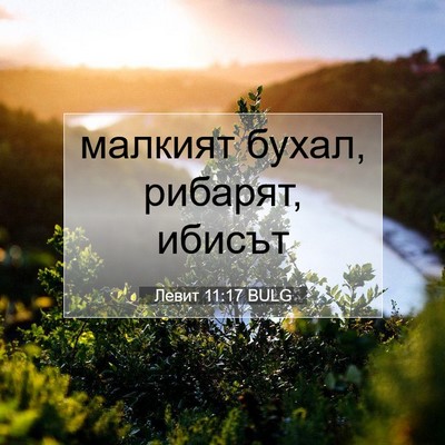 Picture 07 - Левит 11:17 BULG - малкият бухал, рибарят, - Bible Verse Picture