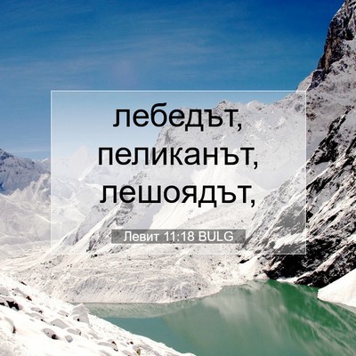 Picture 07 - Левит 11:18 BULG - лебедът, пеликанът, - Bible Verse Picture