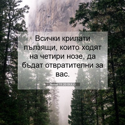 Picture 07 - Левит 11:20 BULG - Всички крилати пълзящи, - Bible Verse Picture