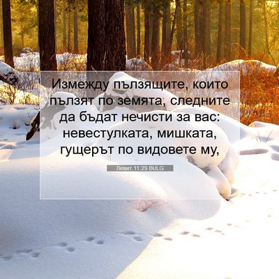 Picture 07 - Левит 11:29 BULG - Измежду пълзящите, които - Bible Verse Picture