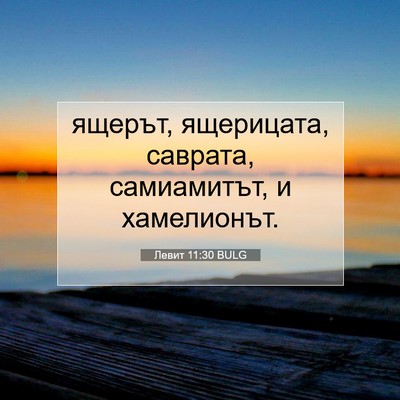 Picture 07 - Левит 11:30 BULG - ящерът, ящерицата, саврата, - Bible Verse Picture