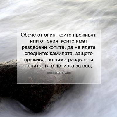 Picture 07 - Левит 11:4 BULG - Обаче от ония, които - Bible Verse Picture