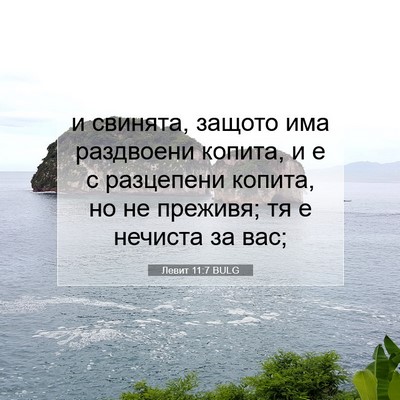 Picture 07 - Левит 11:7 BULG - и свинята, защото има - Bible Verse Picture