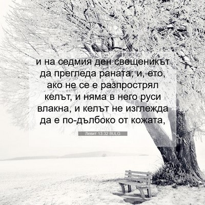 Picture 07 - Левит 13:32 BULG - и на седмия ден свещеникът - Bible Verse Picture