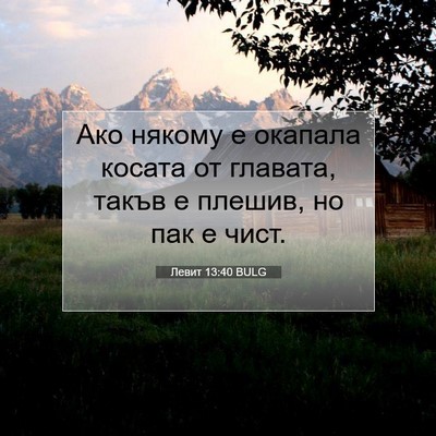 Picture 07 - Левит 13:40 BULG - Ако някому е окапала - Bible Verse Picture