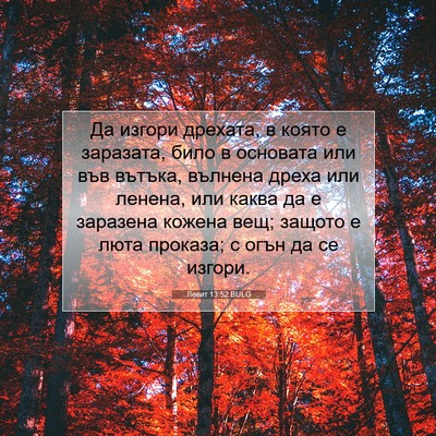 Picture 07 - Левит 13:52 BULG - Да изгори дрехата, в която - Bible Verse Picture