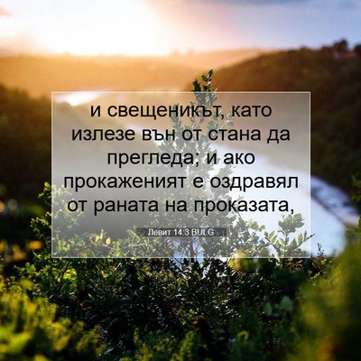 Picture 07 - Левит 14:3 BULG - и свещеникът, като излезе - Bible Verse Picture
