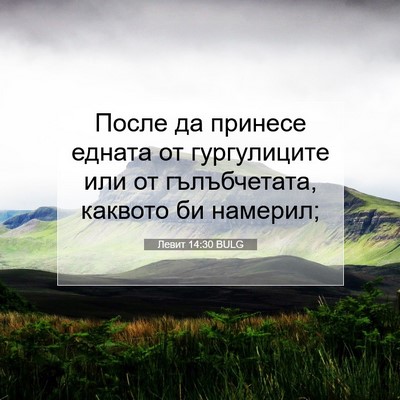 Picture 07 - Левит 14:30 BULG - После да принесе едната от - Bible Verse Picture