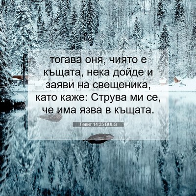 Picture 07 - Левит 14:35 BULG - тогава оня, чиято е къщата, - Bible Verse Picture