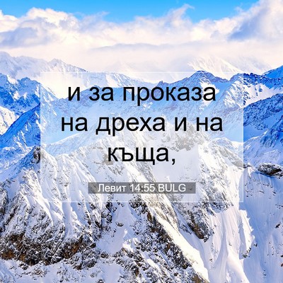 Picture 07 - Левит 14:55 BULG - и за проказа на дреха и на - Bible Verse Picture
