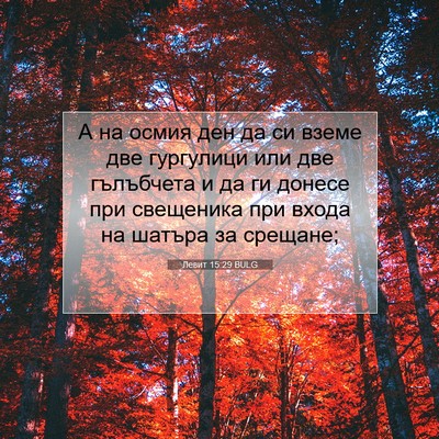 Picture 07 - Левит 15:29 BULG - А на осмия ден да си вземе - Bible Verse Picture