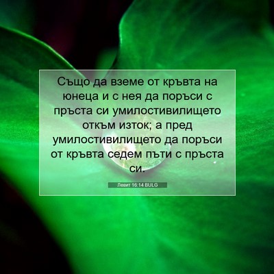 Picture 07 - Левит 16:14 BULG - Също да вземе от кръвта на - Bible Verse Picture