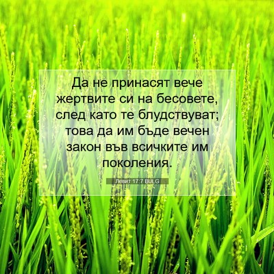 Picture 07 - Левит 17:7 BULG - Да не принасят вече - Bible Verse Picture