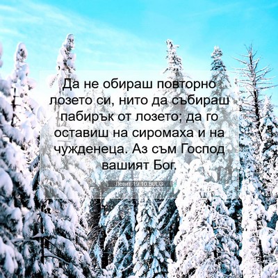 Picture 07 - Левит 19:10 BULG - Да не обираш повторно - Bible Verse Picture