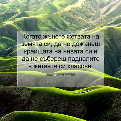 Picture 07 - Левит 19:9 BULG - Когато жънете жетвата на - Bible Verse Picture