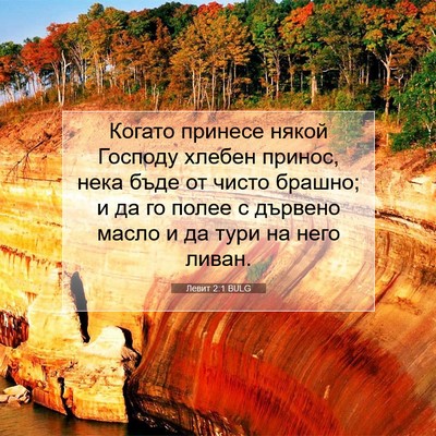 Picture 07 - Левит 2:1 BULG - Когато принесе някой - Bible Verse Picture