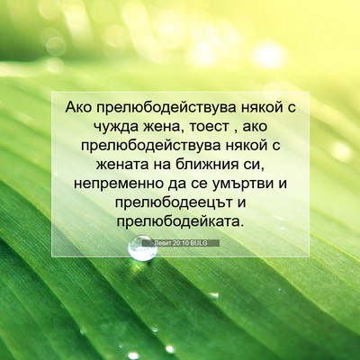 Picture 07 - Левит 20:10 BULG - Ако прелюбодействува - Bible Verse Picture