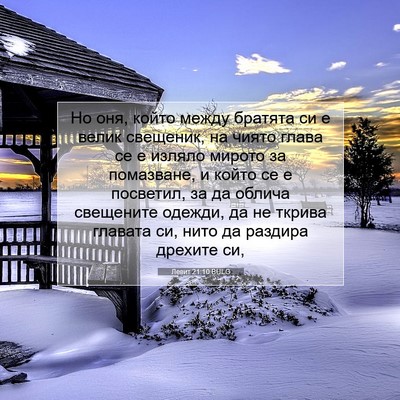 Picture 07 - Левит 21:10 BULG - Но оня, който между братята - Bible Verse Picture