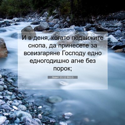 Picture 07 - Левит 23:12 BULG - И в деня, когато подвижите - Bible Verse Picture