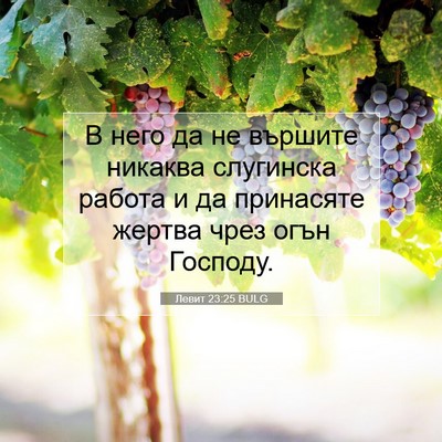 Picture 07 - Левит 23:25 BULG - В него да не вършите - Bible Verse Picture