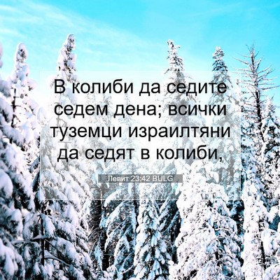 Picture 07 - Левит 23:42 BULG - В колиби да седите седем - Bible Verse Picture