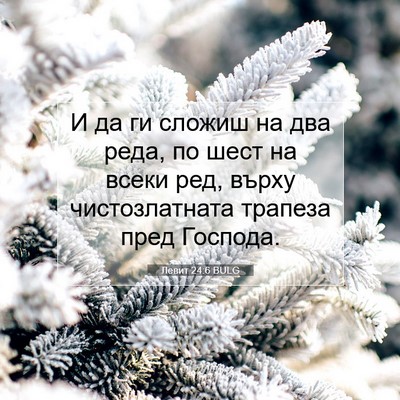 Picture 07 - Левит 24:6 BULG - И да ги сложиш на два реда, - Bible Verse Picture