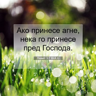 Picture 07 - Левит 3:7 BULG - Ако принесе агне, нека го - Bible Verse Picture
