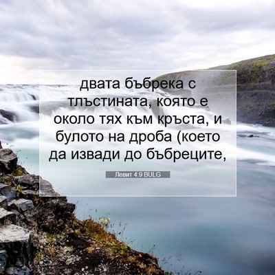 Picture 07 - Левит 4:9 BULG - двата бъбрека с - Bible Verse Picture