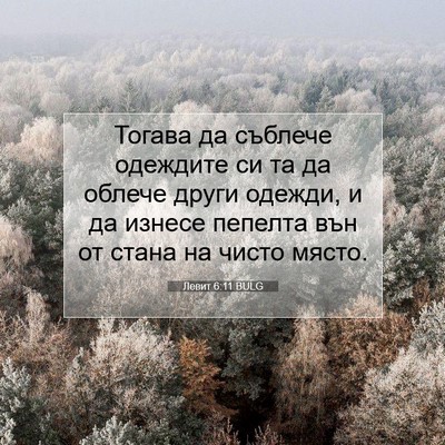 Picture 07 - Левит 6:11 BULG - Тогава да съблече одеждите - Bible Verse Picture