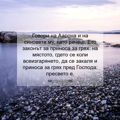 Picture 07 - Левит 6:25 BULG - Говори на Аарона и на - Bible Verse Picture