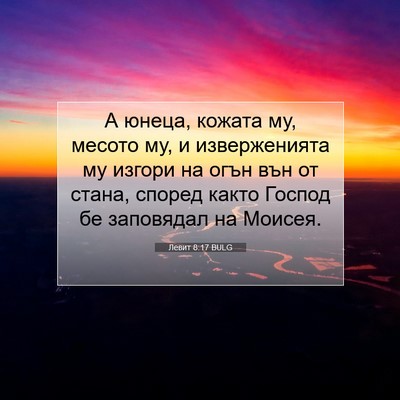 Picture 07 - Левит 8:17 BULG - А юнеца, кожата му, месото - Bible Verse Picture