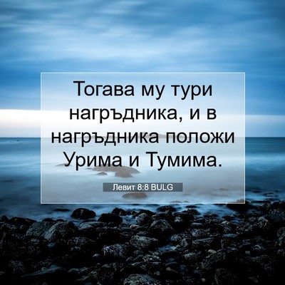 Picture 07 - Левит 8:8 BULG - Тогава му тури нагръдника, - Bible Verse Picture