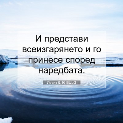Picture 07 - Левит 9:16 BULG - И представи всеизгарянето - Bible Verse Picture