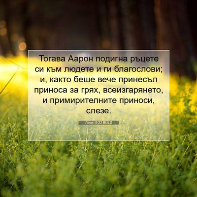 Picture 07 - Левит 9:22 BULG - Тогава Аарон подигна - Bible Verse Picture