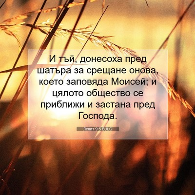 Picture 07 - Левит 9:5 BULG - И тъй, донесоха пред шатъра - Bible Verse Picture
