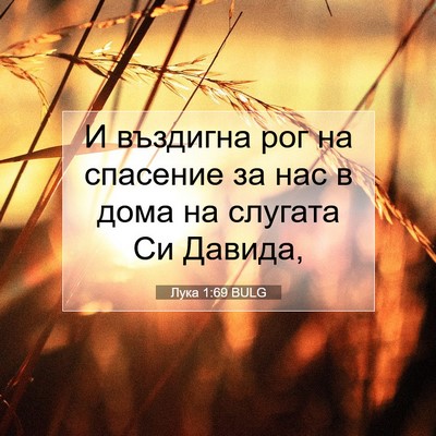 Picture 07 - Лука 1:69 BULG - И въздигна рог на спасение - Bible Verse Picture