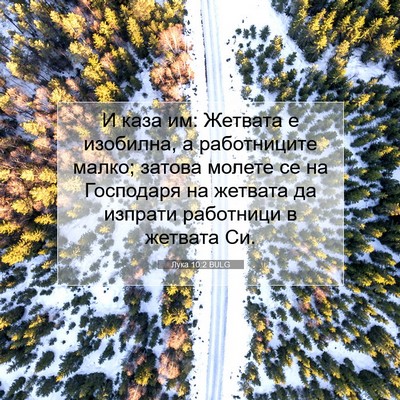 Picture 07 - Лука 10:2 BULG - И каза им: Жетвата е - Bible Verse Picture