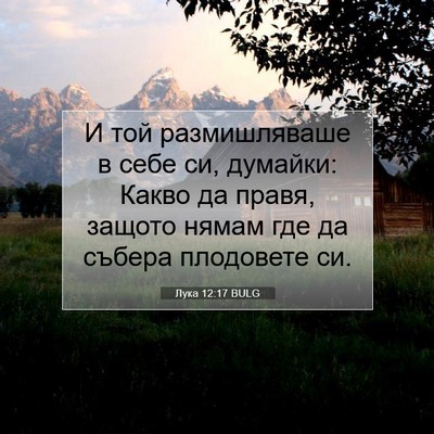 Picture 07 - Лука 12:17 BULG - И той размишляваше в себе - Bible Verse Picture