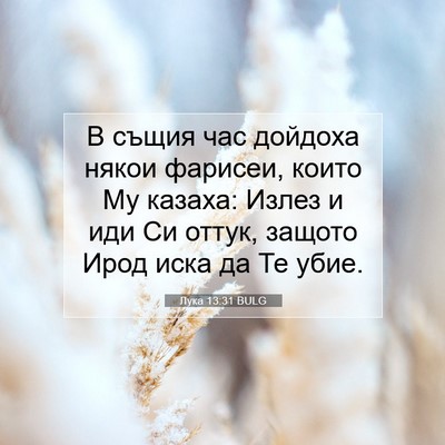Picture 07 - Лука 13:31 BULG - В същия час дойдоха някои - Bible Verse Picture