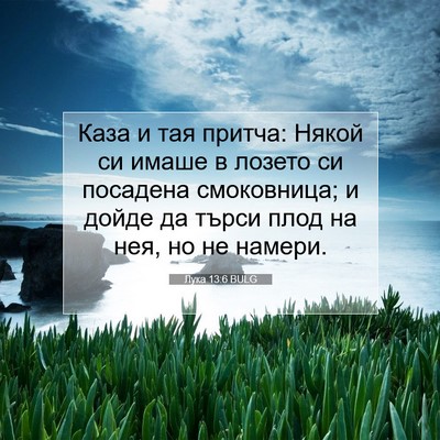 Picture 07 - Лука 13:6 BULG - Каза и тая притча: Някой си - Bible Verse Picture