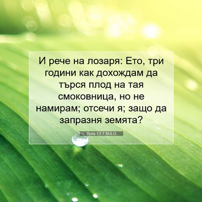 Picture 07 - Лука 13:7 BULG - И рече на лозаря: Ето, три - Bible Verse Picture