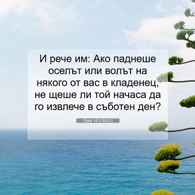 Picture 07 - Лука 14:5 BULG - И рече им: Ако паднеше - Bible Verse Picture