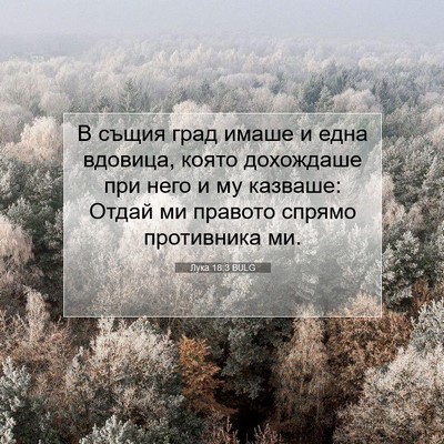 Picture 07 - Лука 18:3 BULG - В същия град имаше и една - Bible Verse Picture