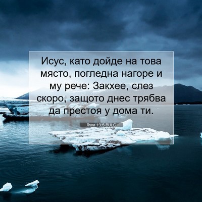 Picture 07 - Лука 19:5 BULG - Исус, като дойде на това - Bible Verse Picture