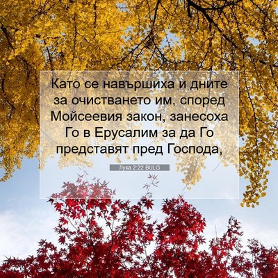 Picture 07 - Лука 2:22 BULG - Като се навършиха и дните - Bible Verse Picture