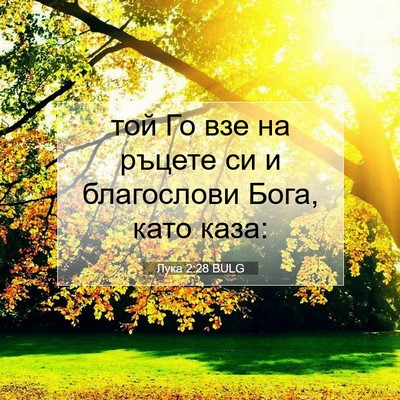 Picture 07 - Лука 2:28 BULG - той Го взе на ръцете си и - Bible Verse Picture